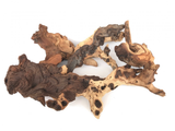 Mopani Wood XS 10-15cm