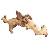 Mopani Wood XS 10-15cm