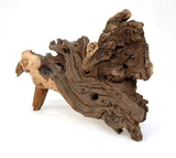 Mopani Wood XS 10-15cm