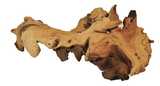 Mopani Wood Size S 15-20cm