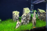 Wood Stone Rock