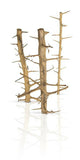 Tree Wood Set 5 pieces 20cm - 50cm