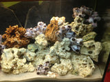 Barnacle Decoration Shells