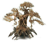 Bonsai Tree Wood