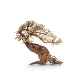 Bonsai Tree Wood