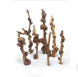 Tall Sticks Wood