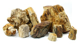 Fossilazzed Wood Rock