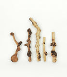 Tall Sticks Wood