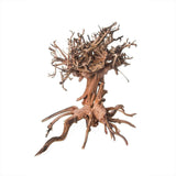 Bonsai Tree Wood