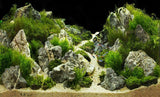 Ancient Rock