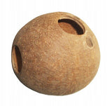 Coconut Cave