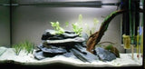 Black Aquarium Slate
