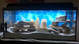 Rainbow Rock