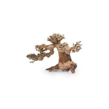 Bonsai Tree Wood