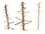Tree Wood Set 5 pieces 20cm - 50cm