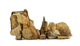 Fossilazzed Wood Rock