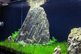 Wood Stone Rock
