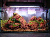 Red Lava Rock