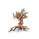 Bonsai Tree Wood