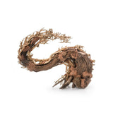 Bonsai Tree Wood
