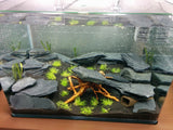 Black Aquarium Slate