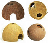 Coconut Cave