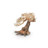 Bonsai Tree Wood