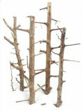 Tree Wood Set 5 pieces 20cm - 50cm