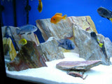 Rainbow Rock