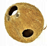 Coconut Cave