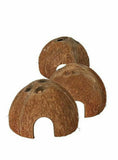 Coconut Cave