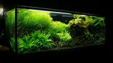 Black Substrate 1-3mm