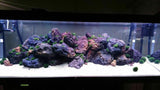 Black Lava Rock