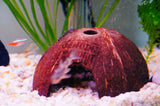 Coconut Cave