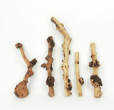 Tall Sticks Wood