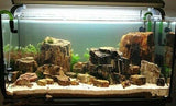 Fossilazzed Wood Rock