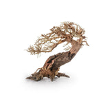 Bonsai Tree Wood