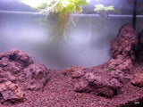 Red Lava Rock