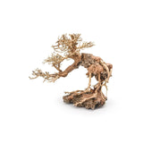 Bonsai Tree Wood