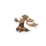 Bonsai Tree Wood