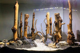 Tall Sticks Wood