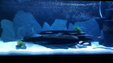 Black Aquarium Slate