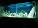 White Aquarium Slate