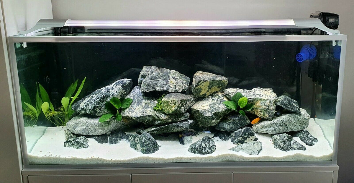 Fish tank rocks hotsell