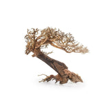 Bonsai Tree Wood