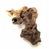 Mopani Wood Size S 15-20cm