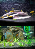 White Aquarium Slate