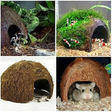 Coconut Cave