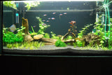 Black Sand 0,6-1,2mm