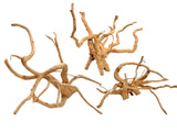 Red Moor Wood Premium Pieces Different Sizes